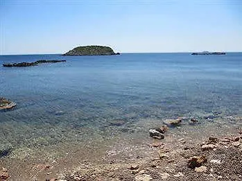 Typic Sandic Es Cana